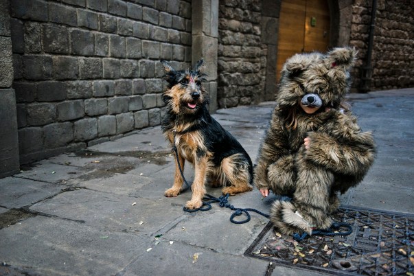 _DSC1068 copy (Copiar)