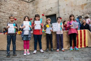 _DSC3347 copy (Copiar)